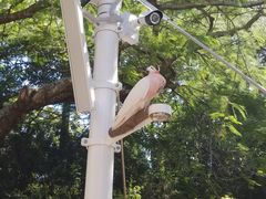 -可伦宾野生动物保护区