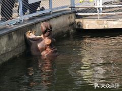 -无锡动物园·太湖欢乐园