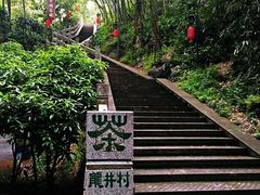 -先春西湖龍井•九曲红梅(杭大路店)