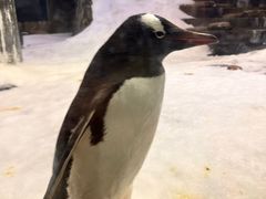 -费瑟代尔野生动物园