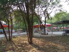 -康庄公园