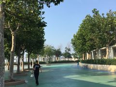 -秦皇岛乐岛海洋王国