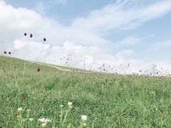 -乌兰布统草原
