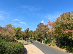 -茅山东方盐湖城景区