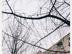 -四川大学(望江校区)