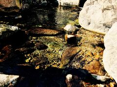 -尧山风景区