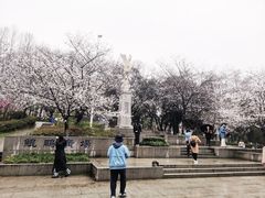 -武汉大学-樱园