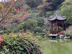 -云溪植物园