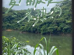 -梧桐山风景名胜区