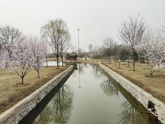 -张家湾公园