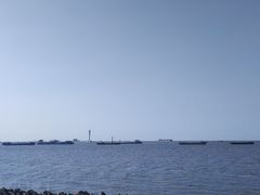 -上海滨江森林公园