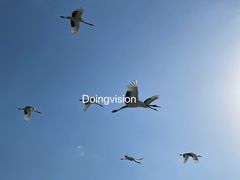 -盐城丹顶鹤湿地生态旅游区