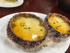 海胆蒸蛋-岛中岛·海鲜大排档·万宁老字号(东澳店)