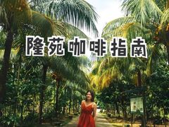 -兴隆隆苑咖啡庄园