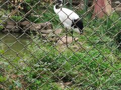 -石家庄市动物园