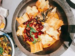 -柿合缘新京菜(国金中心商场店)