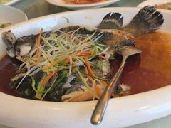 -国惠大酒楼(宝龙店)