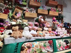 -济州岛泰迪熊博物馆