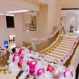 北京蕞粉圣诞树上线啦‼️