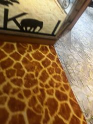 -卡通尼·Safari非洲探索乐园·生日会(金桥国际商业广场店)