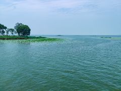 -微山湖红荷湿地景区