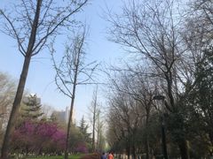 -木塔寺遗址生态公园