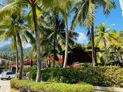 -海南分界洲岛旅游区