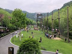 -莫干山郡安里度假酒店-桃尖中餐厅