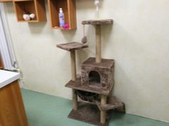 -康乐宝动物医院