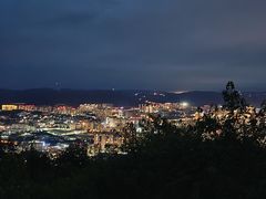 -长虫山生态公园风景林