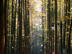 -山王坪喀斯特国家生态公园