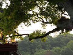 -杭州宋城