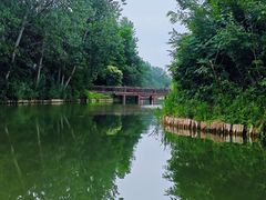 -溱湖国家湿地公园