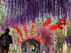 -广东花都香草世界旅游度假区