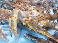 -威海大水泊国际机场