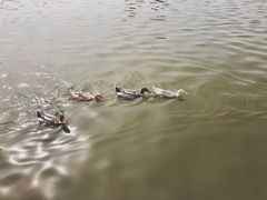 -迎泽公园