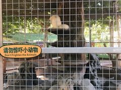 -石家庄市动物园