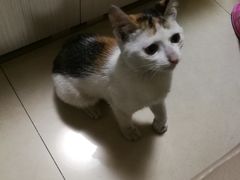 -深圳市人民医院(留医部)