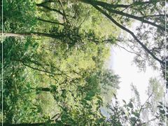 -南京老山国家森林公园