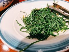 -蒙古大营(朝阳公园店)