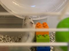 -龙猫仔乐园(惠福东路店)