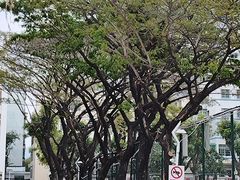 -三亚市第二中学