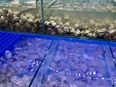 -海韵之星邮轮水会(明发商业广场店)