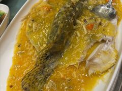 -王宝和酒家(黄浦店)