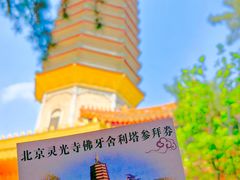 -八大处公园
