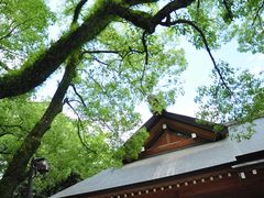 -热田神宫
