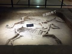 景点-洛阳周王城天子驾六博物馆