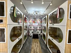 -青奢宠物·青奢猫舍