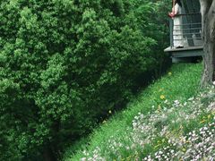 -西湖风景区-江洋畈生态公园