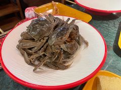 -牛New寿喜烧(金鹰世界店)